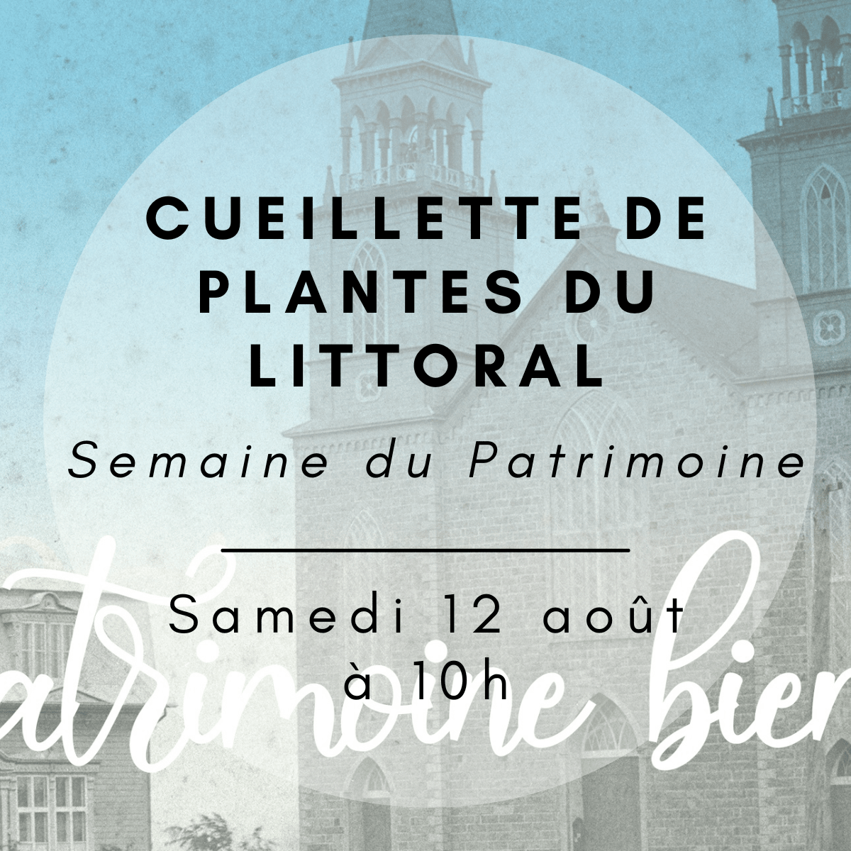 Événements – 2023-07-14T150431.543