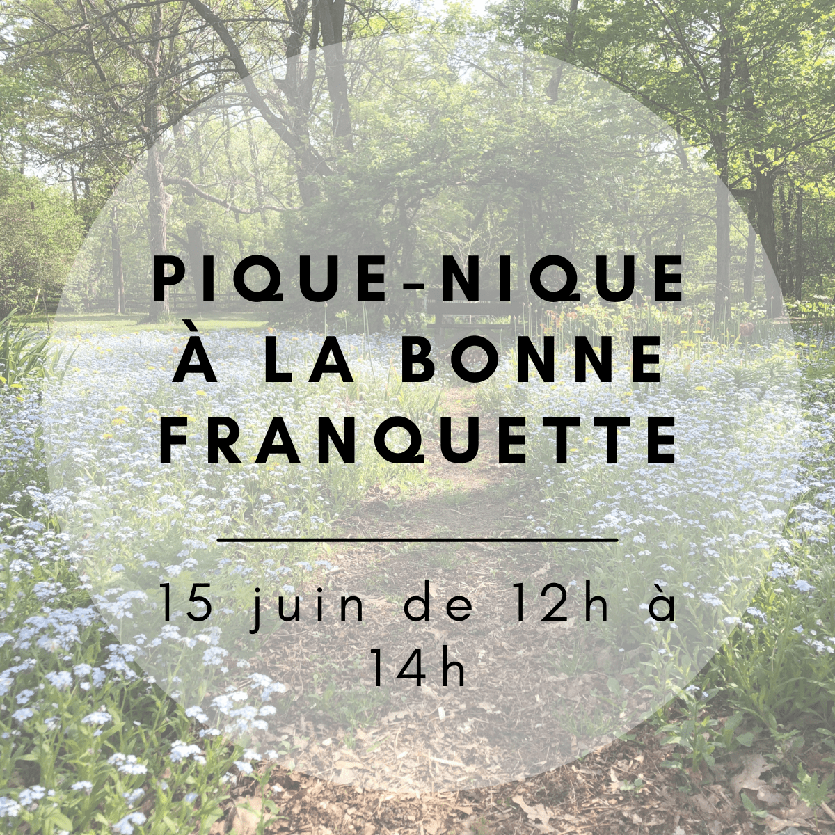 Pique-nique à la bonne franquette Pique-nique à la bonne franquette