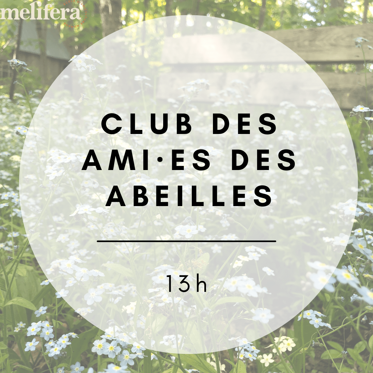 Club des ami·es des abeilles Club des ami·es des abeilles