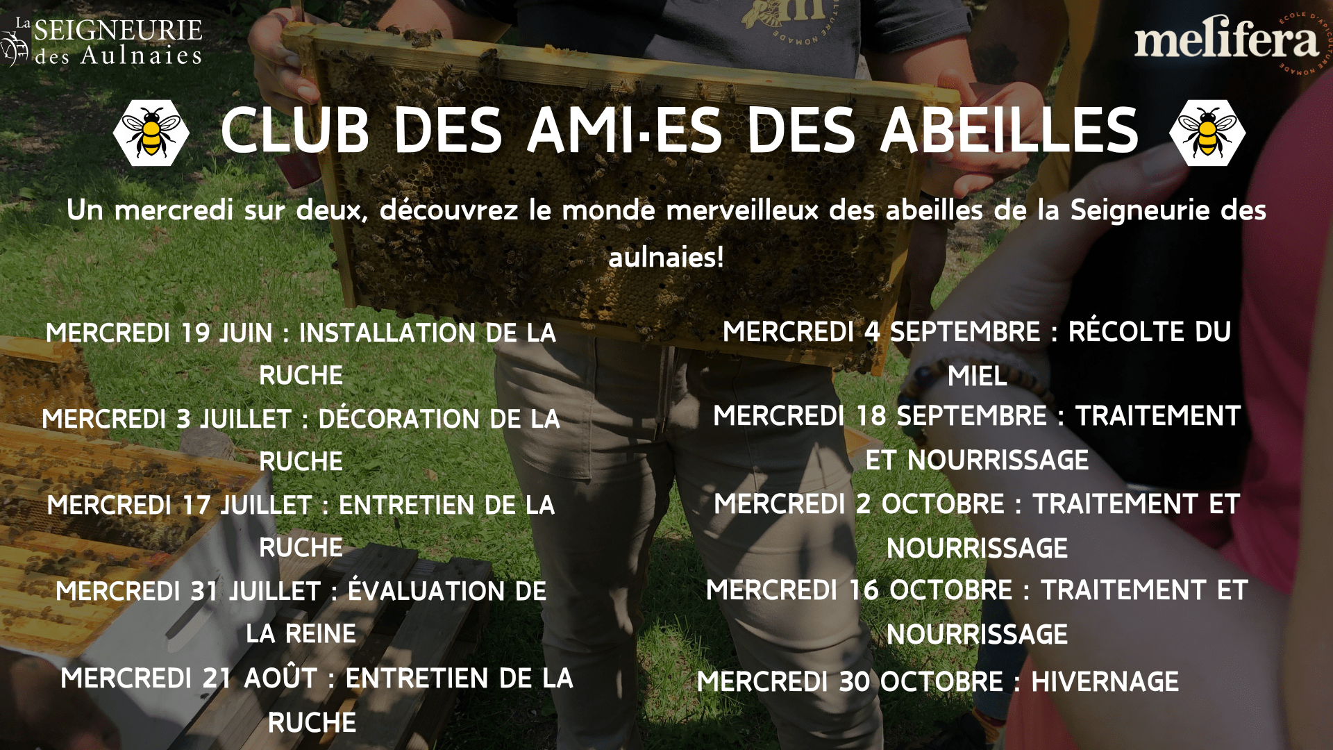 Le seigneur des abeilles: 9782909684161: Claude Cattey